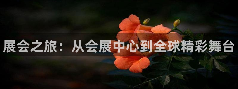 果博平台真实吗安全吗是真的吗